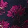 High Rise Floral Jacquard Pant - Image 4