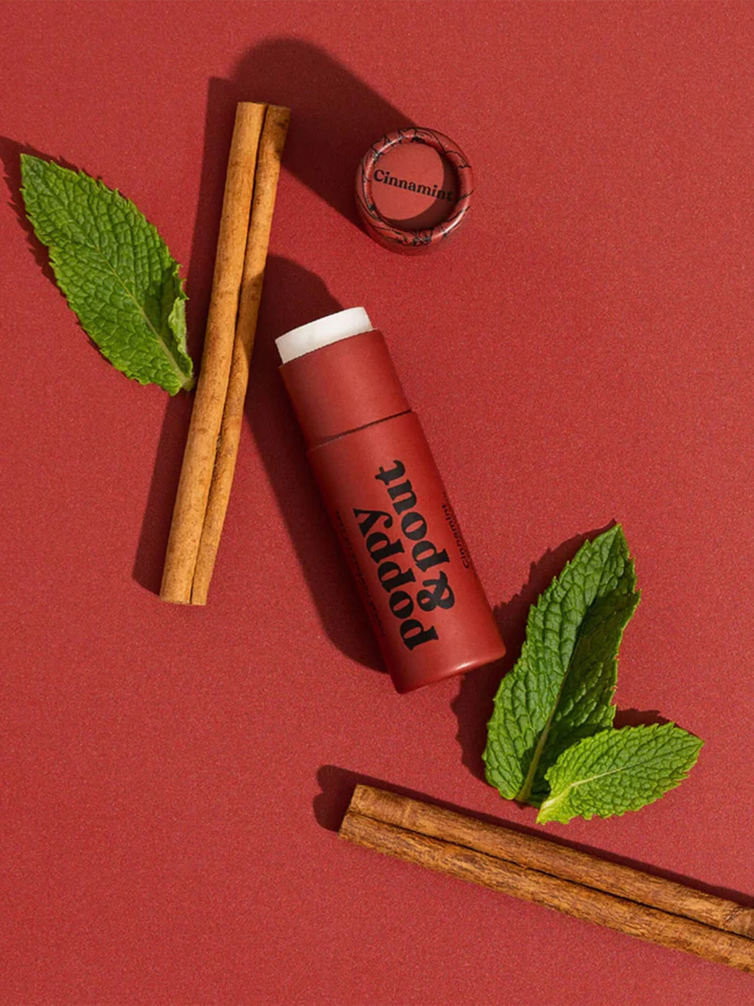 Poppy & Pout Cinnamint Lip Balm - Brands We Love - Image 2