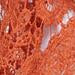 Crochet Vest - Image 5