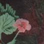 Floral-Print Organza Blouse - Image 4