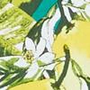 Green Cotton Shift Dress - Image 5