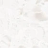 Lace Cold-Shoulder Top - Image 4