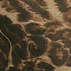 Leopard Off The Shoulder Maxi Dress - Image 5