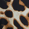 Leopard-Print One-Shoulder Maxi Blouse - Image 4