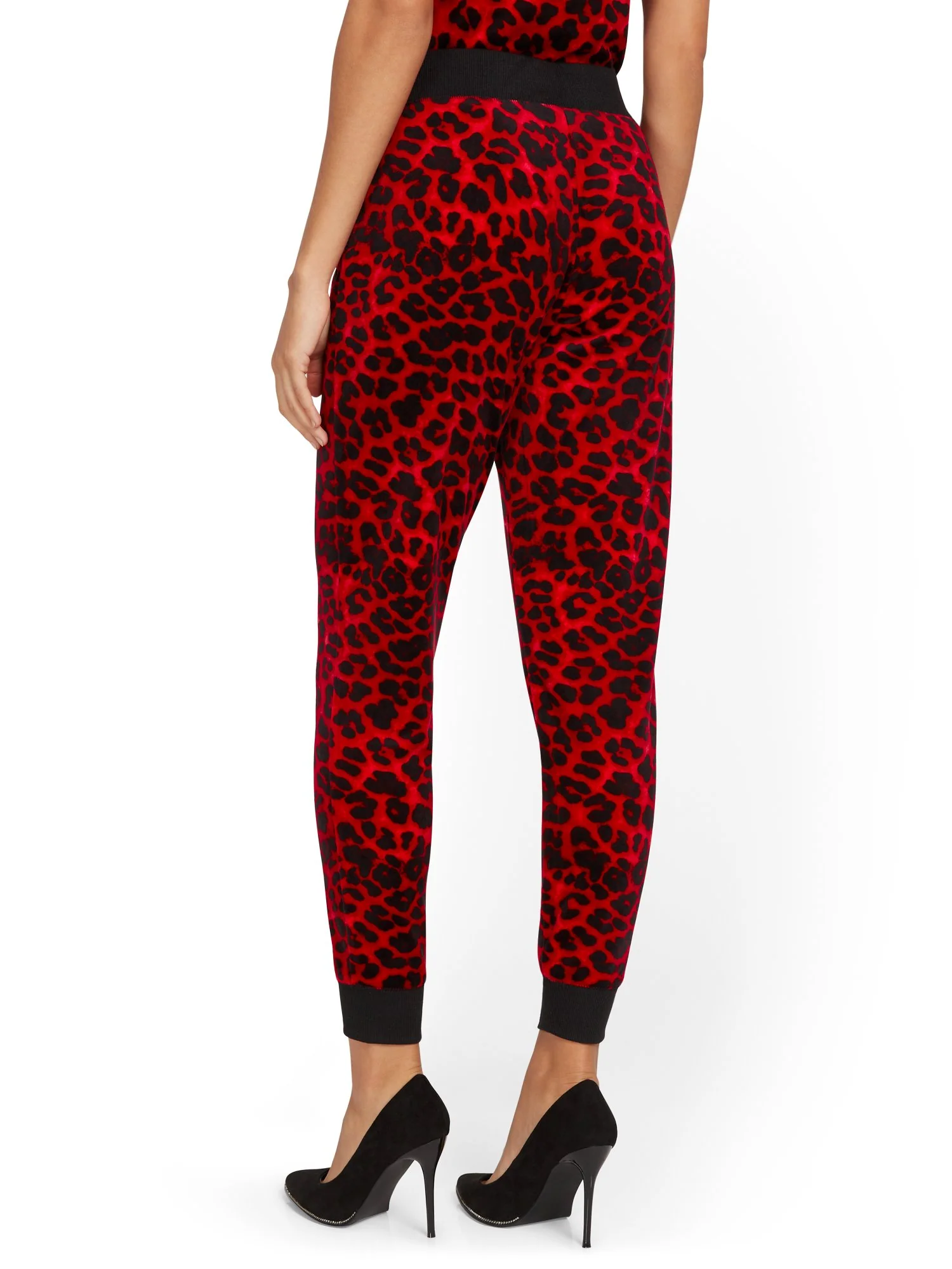 Leopard-Print Velour Jogger Pant - Dreamy Velour Collection - Image 7