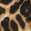 Leopard-Print Velour Sweatshirt - Dreamy Velour Collection - Image 3
