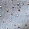 Light Wash Embellished Straight leg Denim - Image 5