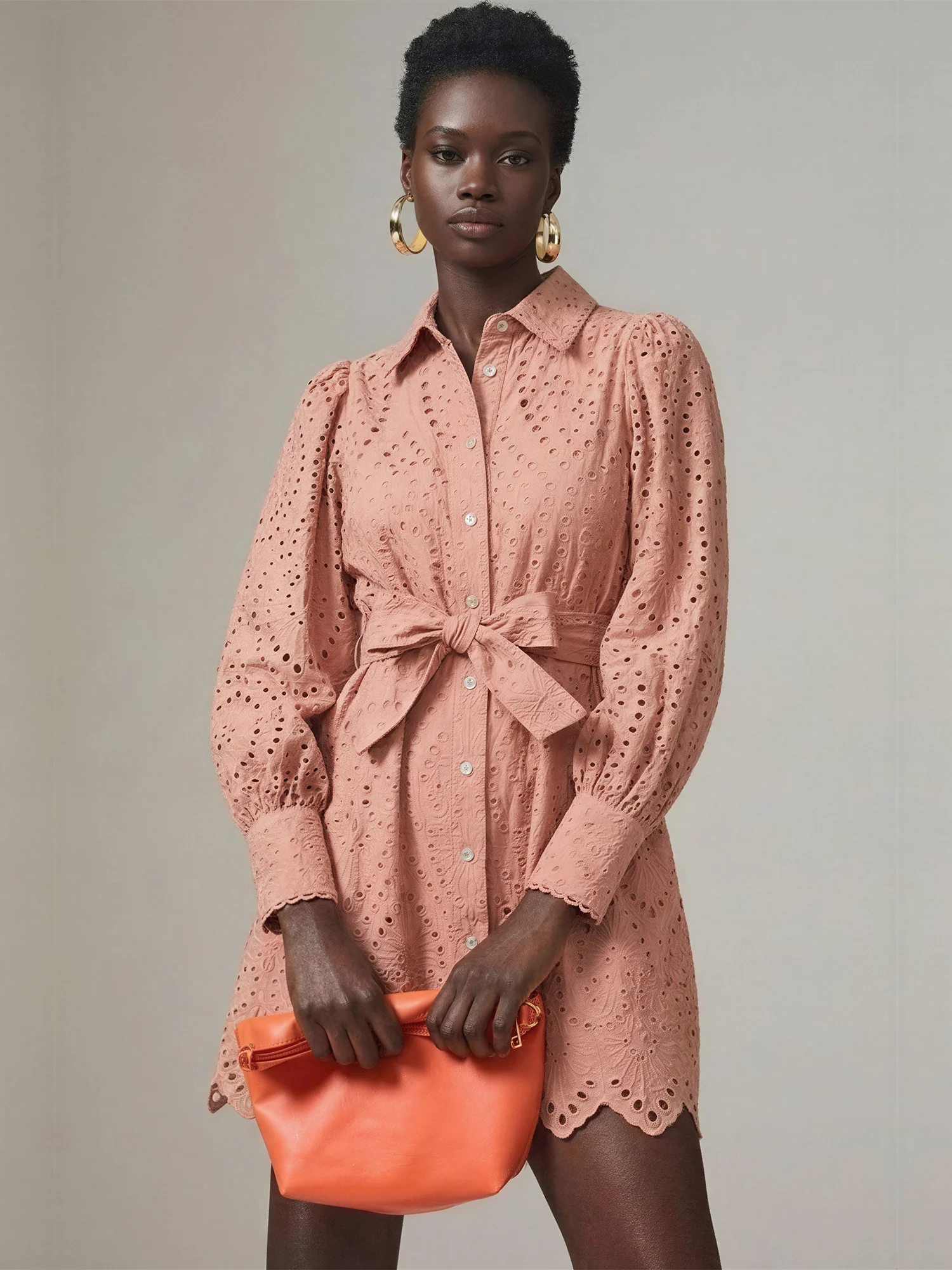 Long Sleeve Button Down Collar Eyelet Lace Fit A-Line Dress