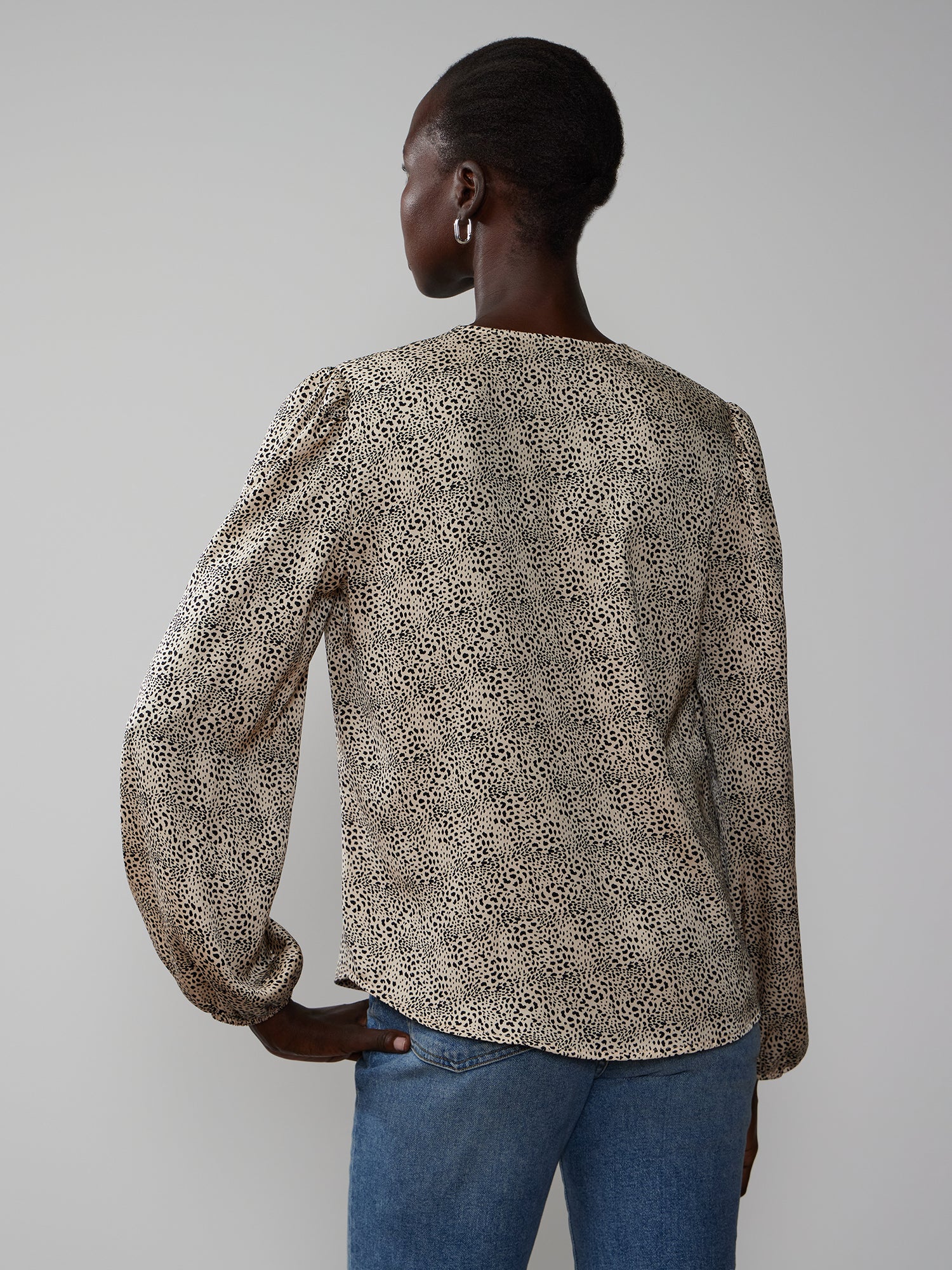 Long Sleeve V-Neck Animal Print Blouse - Image 3
