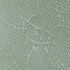 Niketa Square-Toe Pump - Image 12