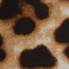 Puff-Sleeve Leopard Top - Image 4