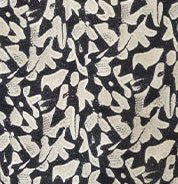 Sleeveless Printed Collared Mini Shift Dress - Image 5