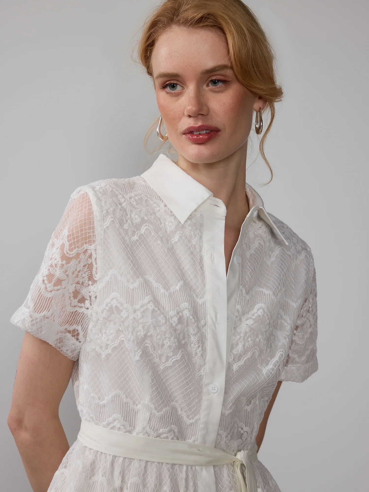 Embroidered Zig Zag Mesh Lace Midi Dress - Image 4