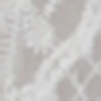 Embroidered Zig Zag Mesh Lace Midi Dress - Image 5