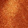 Tall Pleated Long Bermuda - Image 5