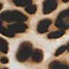 Tall Whitney High-Waisted Pull-On Slim-Leg Pant - Leopard - Image 4