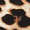 Tie-Neck Flutter-Sleeve Leopard-Print Top - Image 4
